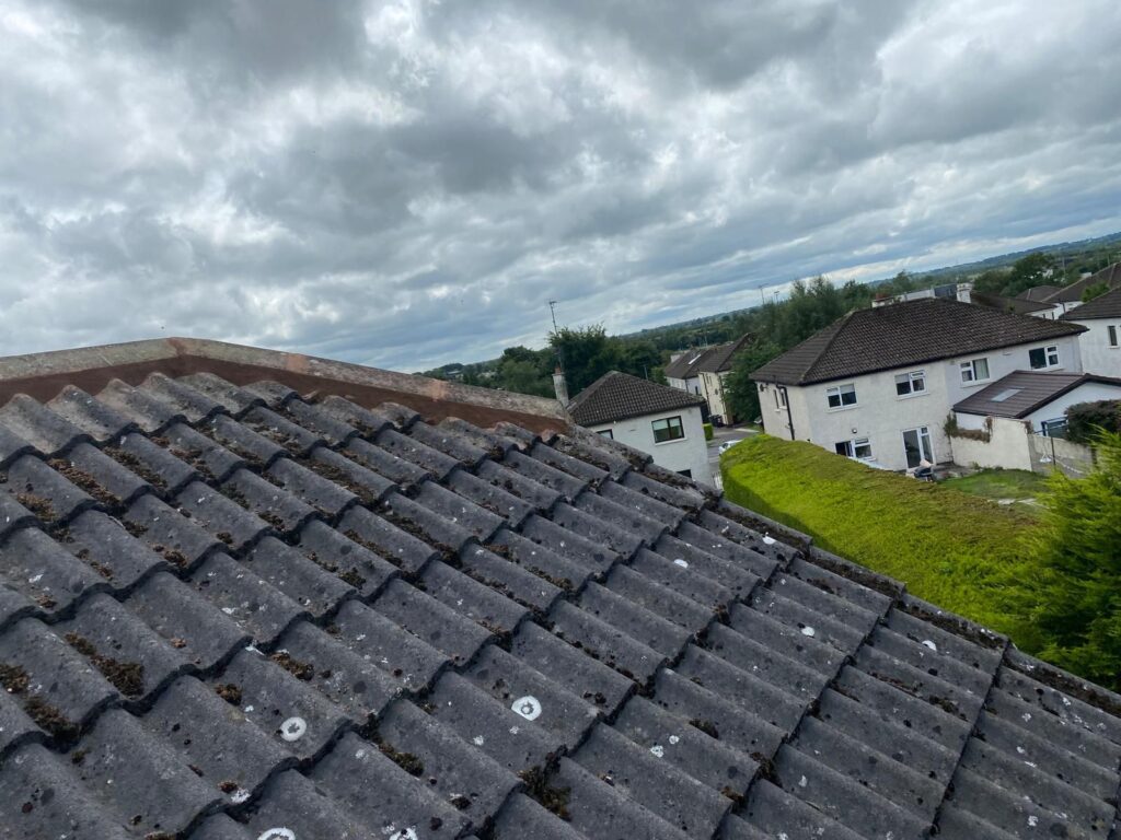 uPVC vs Wooden Fascia and Soffits: Which Material Suits Dublin Homes Best?